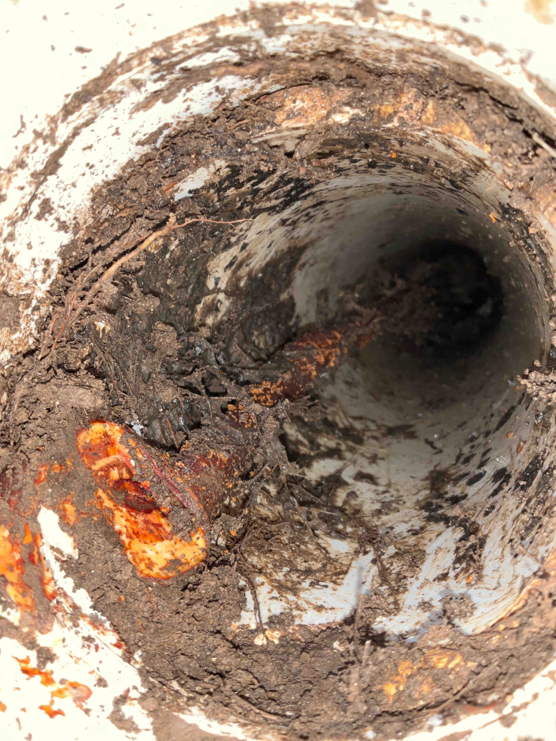 drain cleaning service drain cleaning service