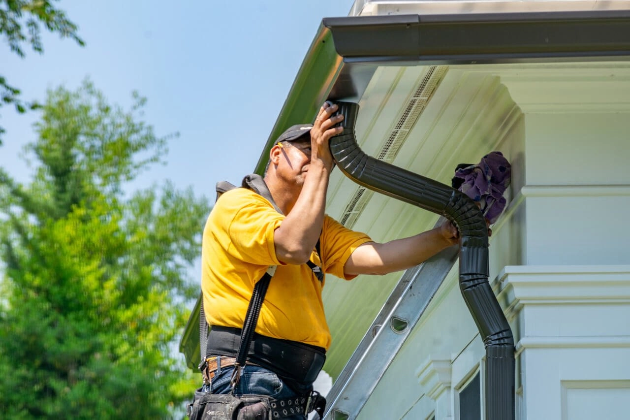 image_2025-03-16_00-15-28